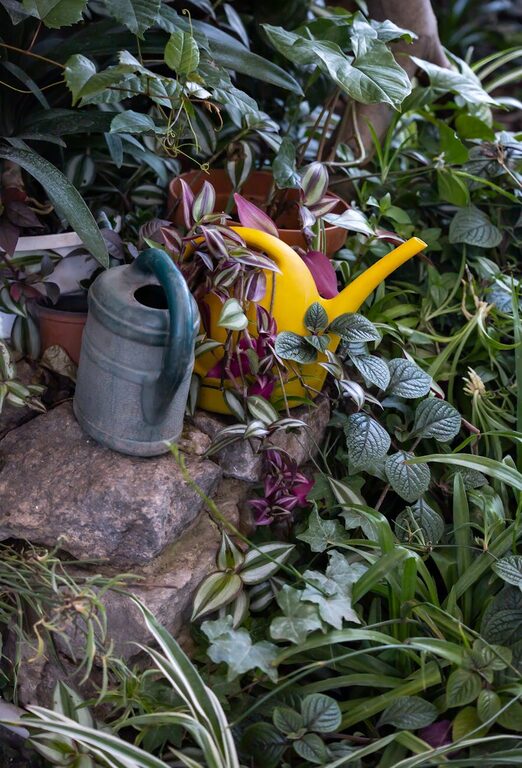 Tips for Creating a Relaxing Outdoor Space in Small Backyards